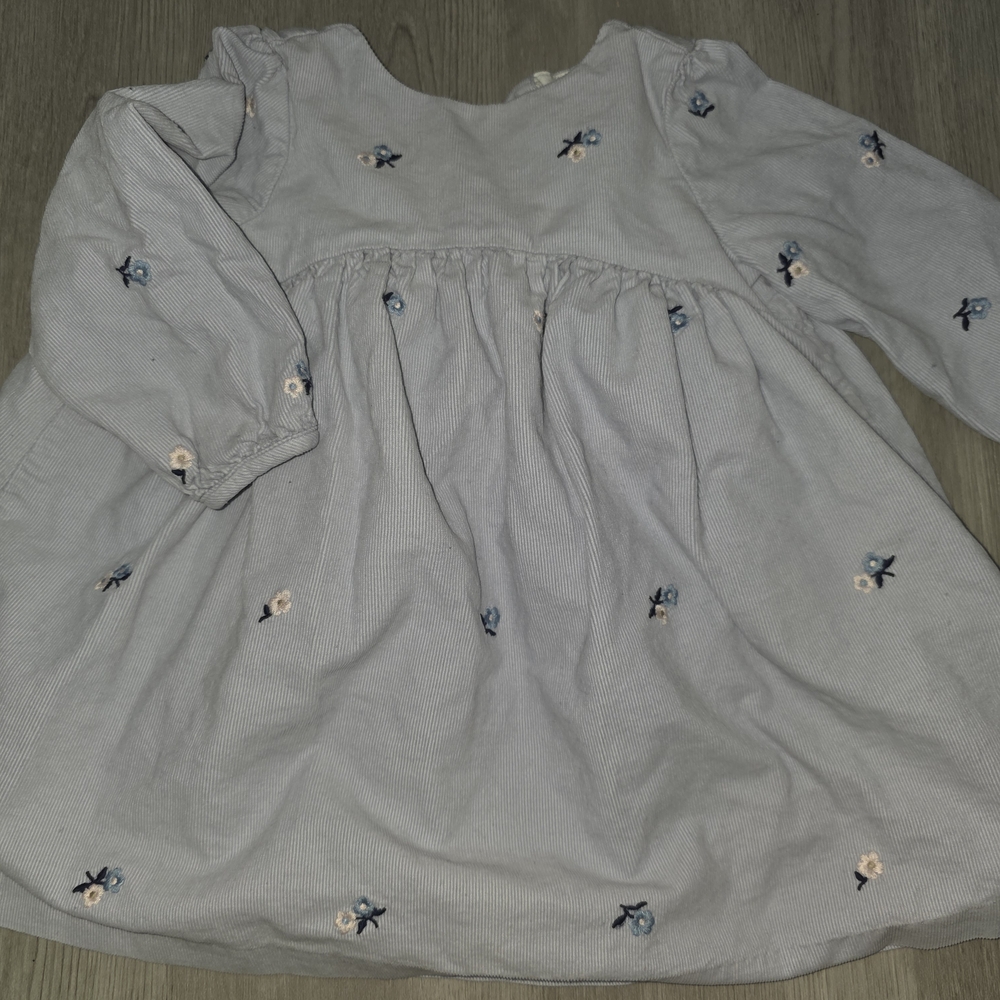 Janie and Jack Light Blue Embroidered Dress